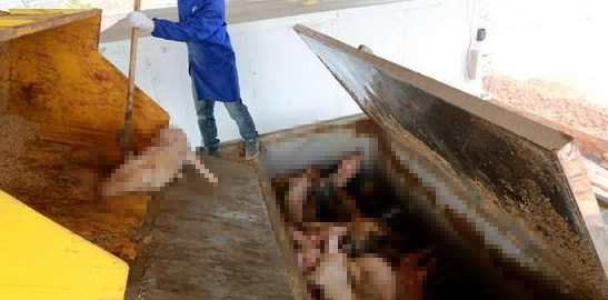 動物無害化處理廠，惡臭異味危害大，<a href='/' style='color: blue;' target='_blank'>工業除臭劑</a>起作用！.png