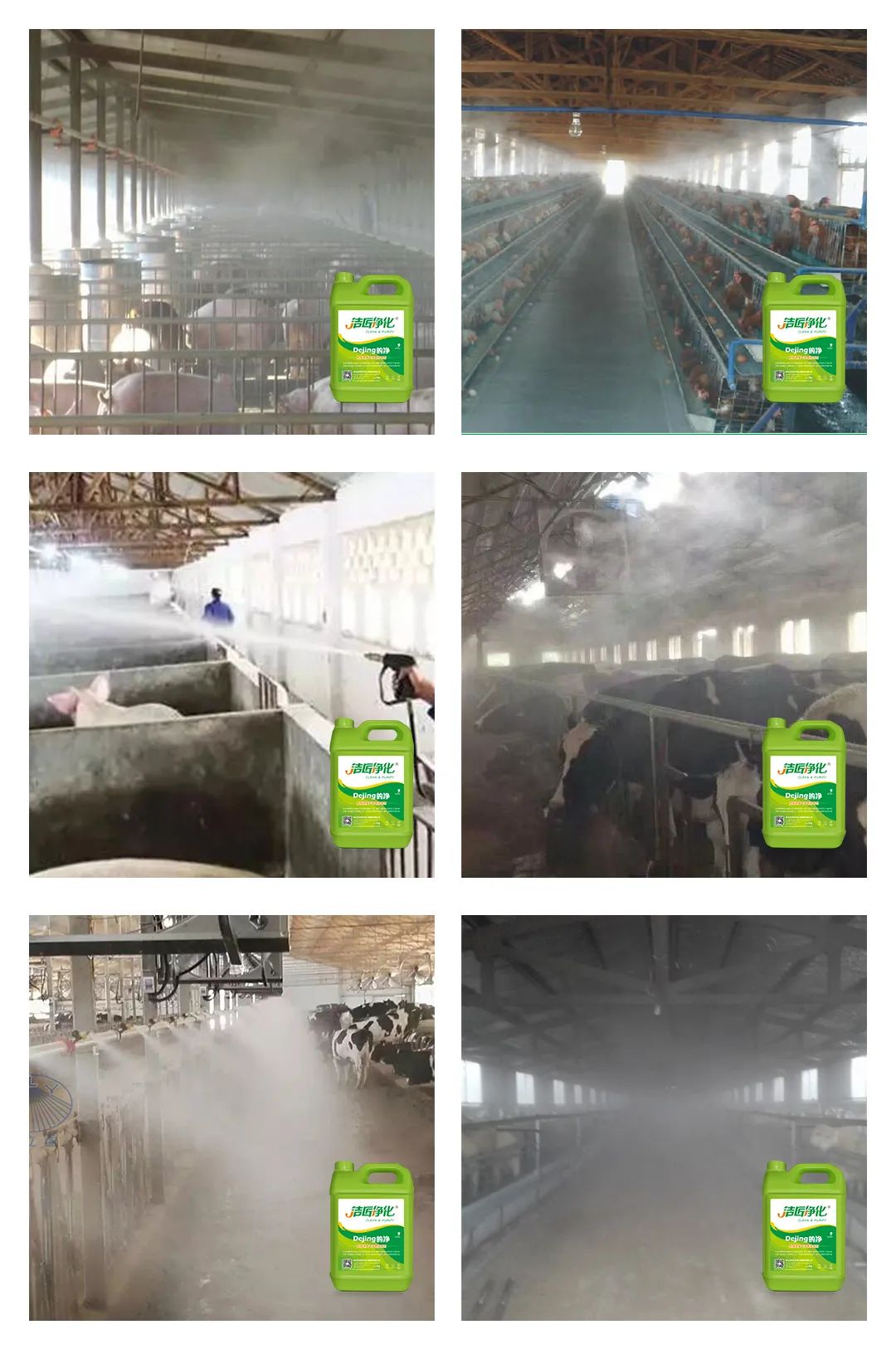 養(yǎng)殖場(chǎng)太臭，用Dejing的凈除臭劑迅速除臭！豬圈/雞場(chǎng)/牛場(chǎng)/羊圈....jpg